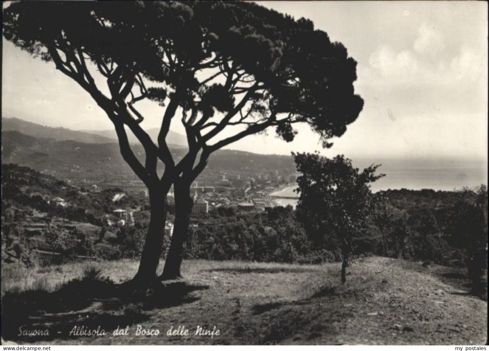 Savona Liguria Savona Albisola dal Bosco delle Ninfe