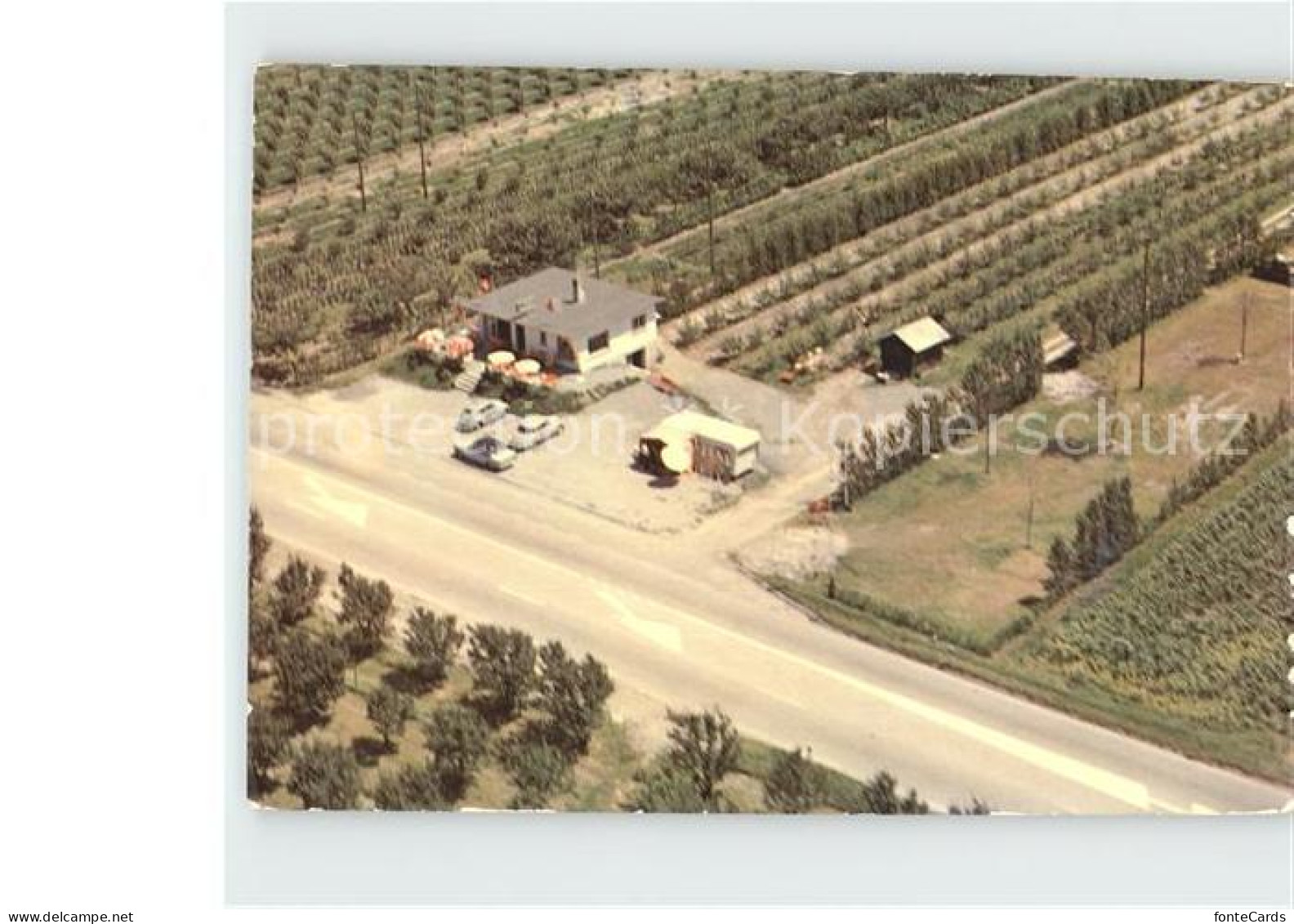 Saxon Bar-Camping du Coucou