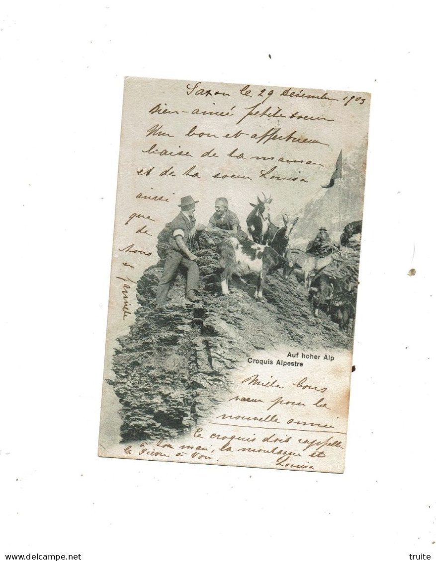 SAXON CROQUIS ALPESTRE ( CHEVRIER AVEC SES CHEVRES ) CARTE PRECUSEUR