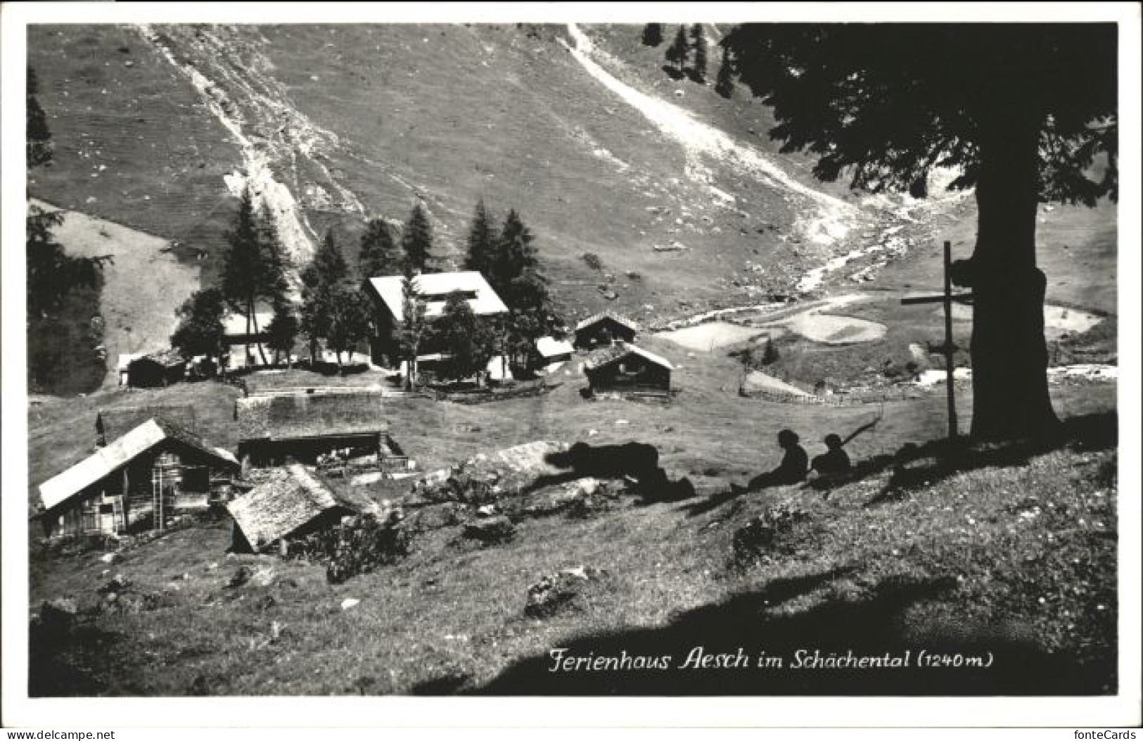 Schaechentaler Windgaellen rienhaus aesch *