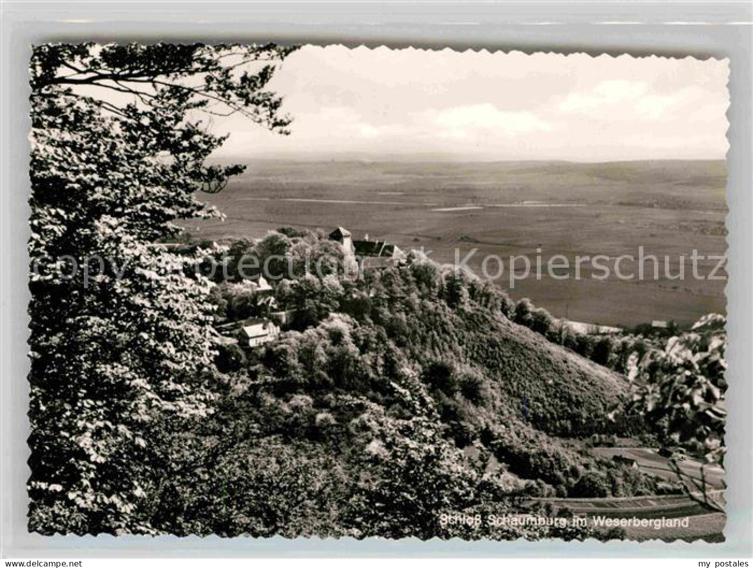 Schaumburg Rinteln Panorama
