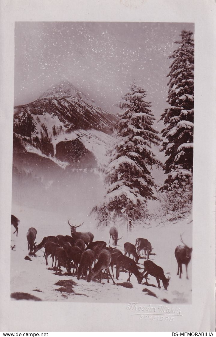 Scheibbs Foto Theodor Mark 1913