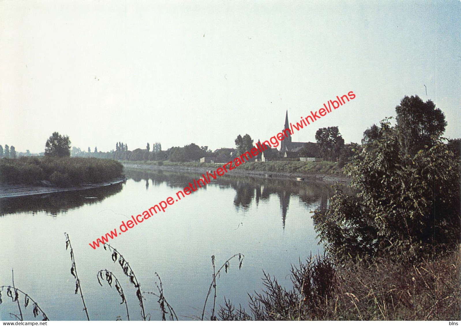 Schelde - Kerk - Wichelen