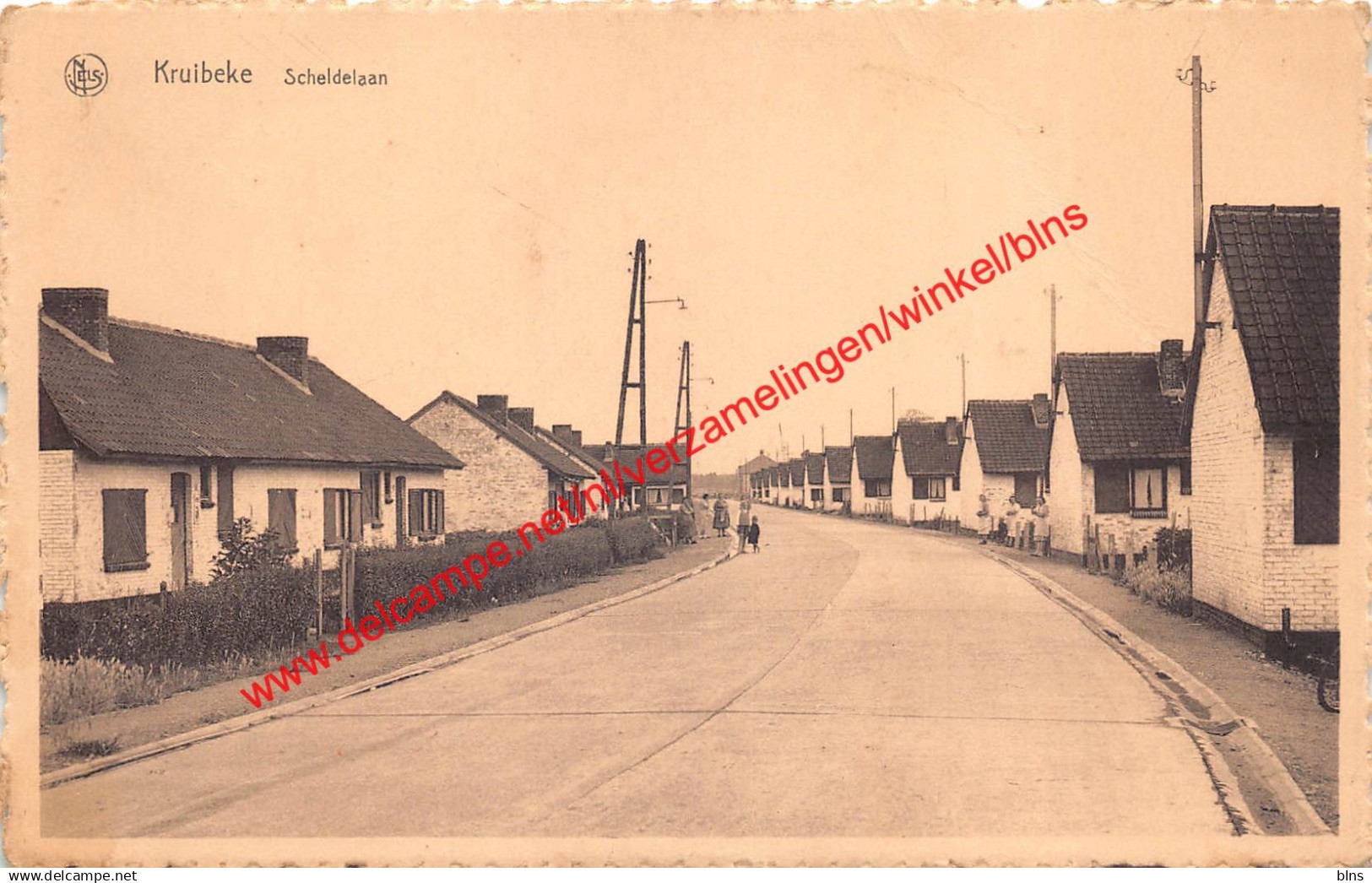 Scheldelaan - Kruibeke