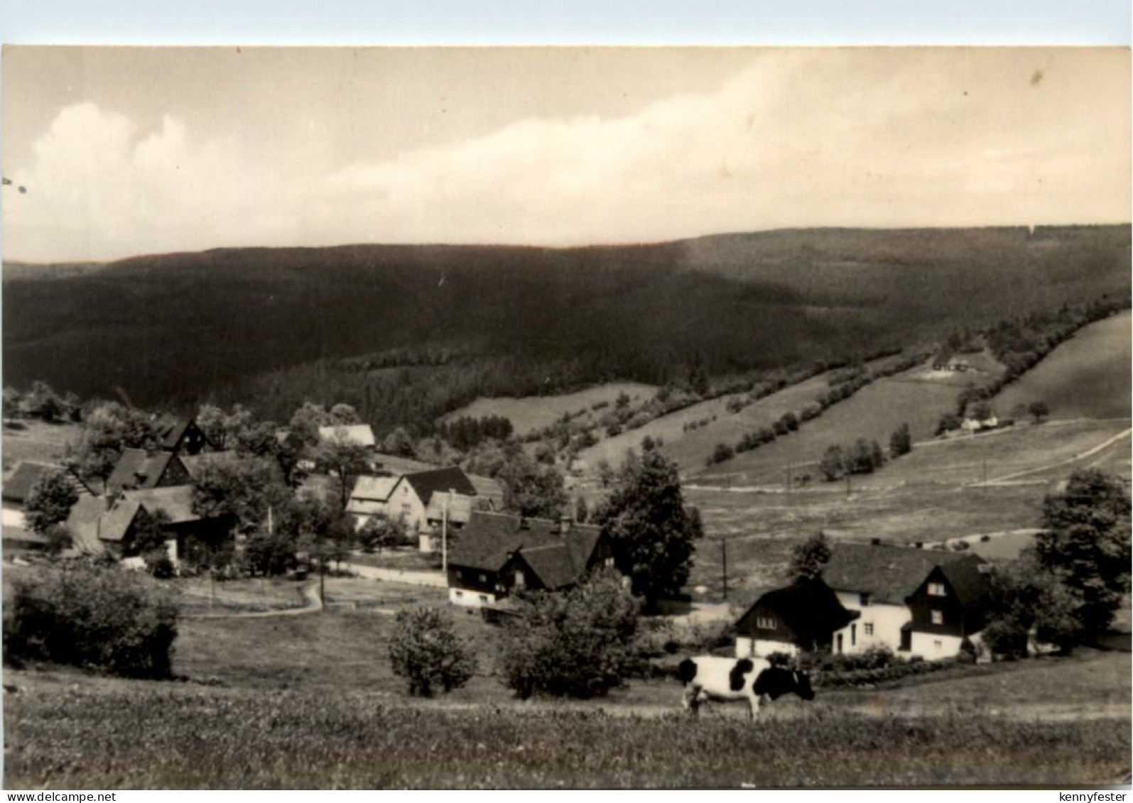 Schellerhau,
