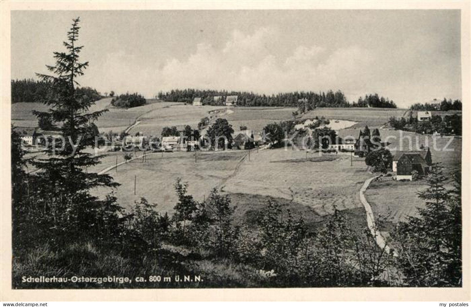 Schellerhau