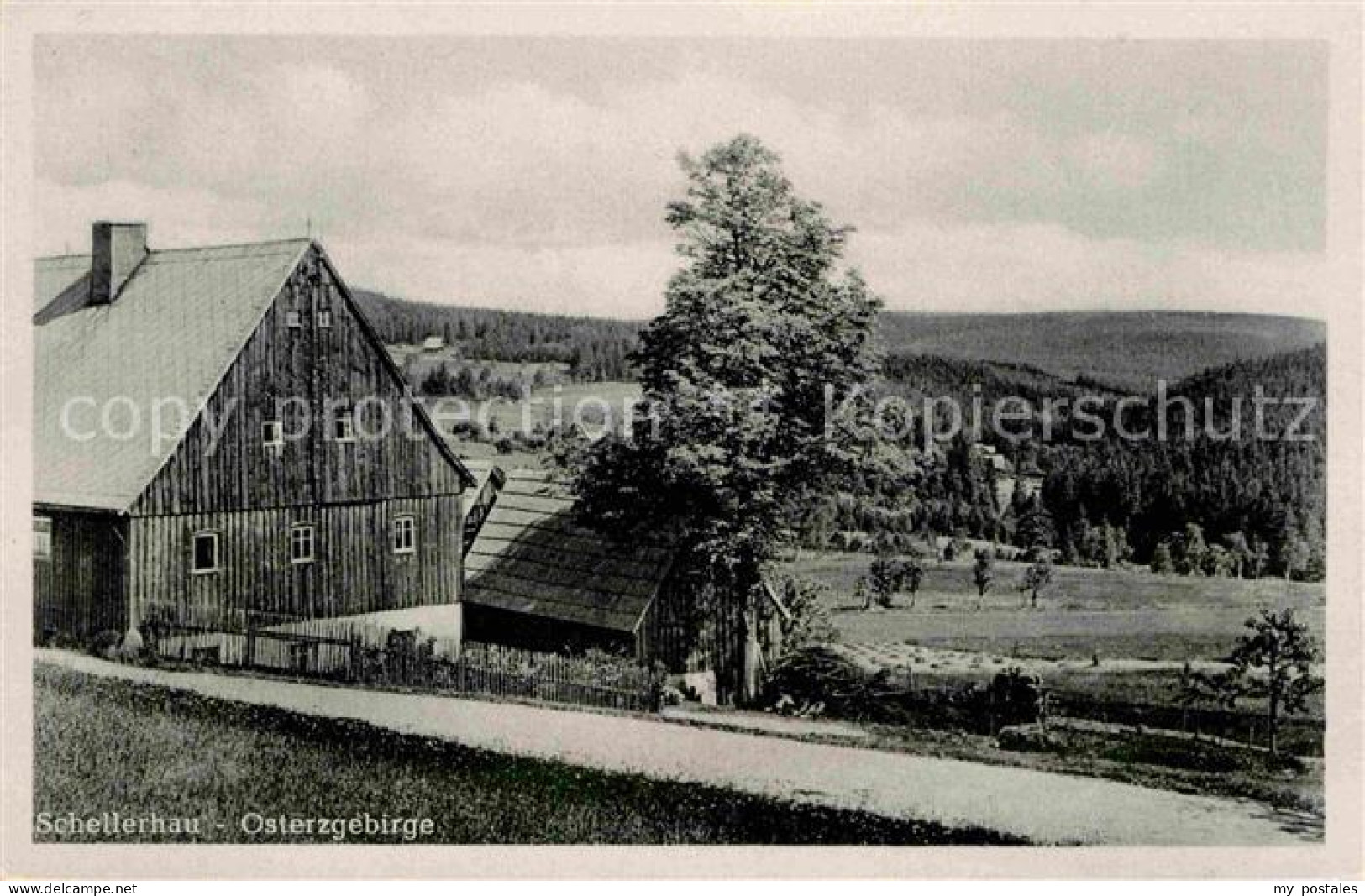 Schellerhau