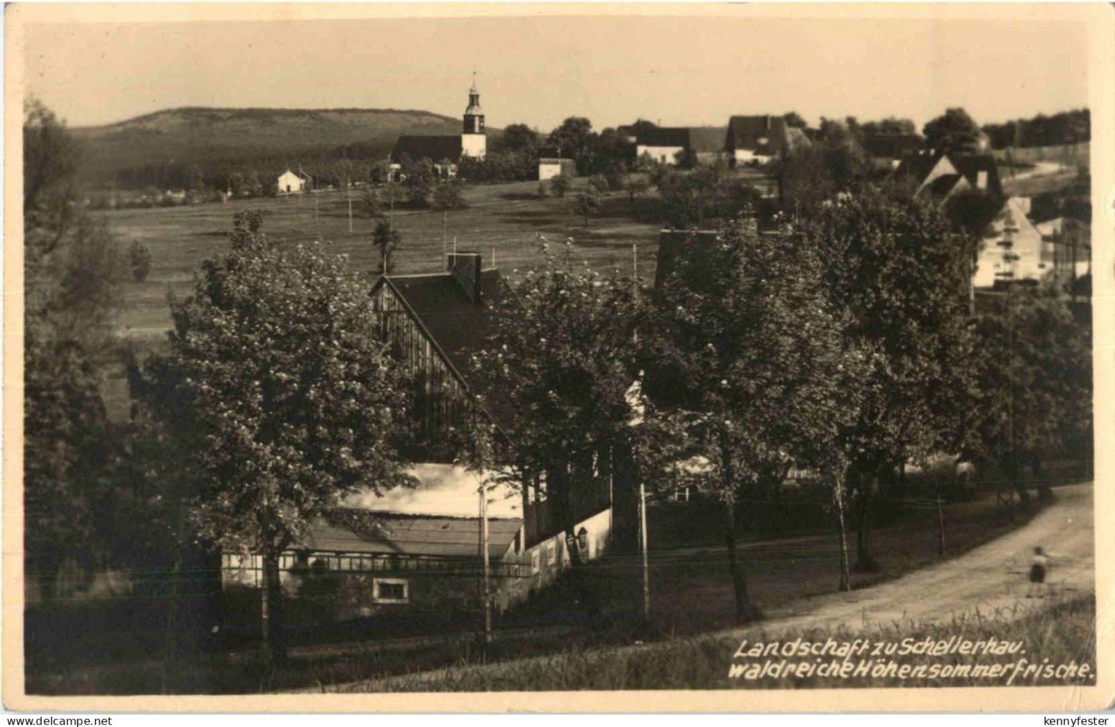 Schellerhau