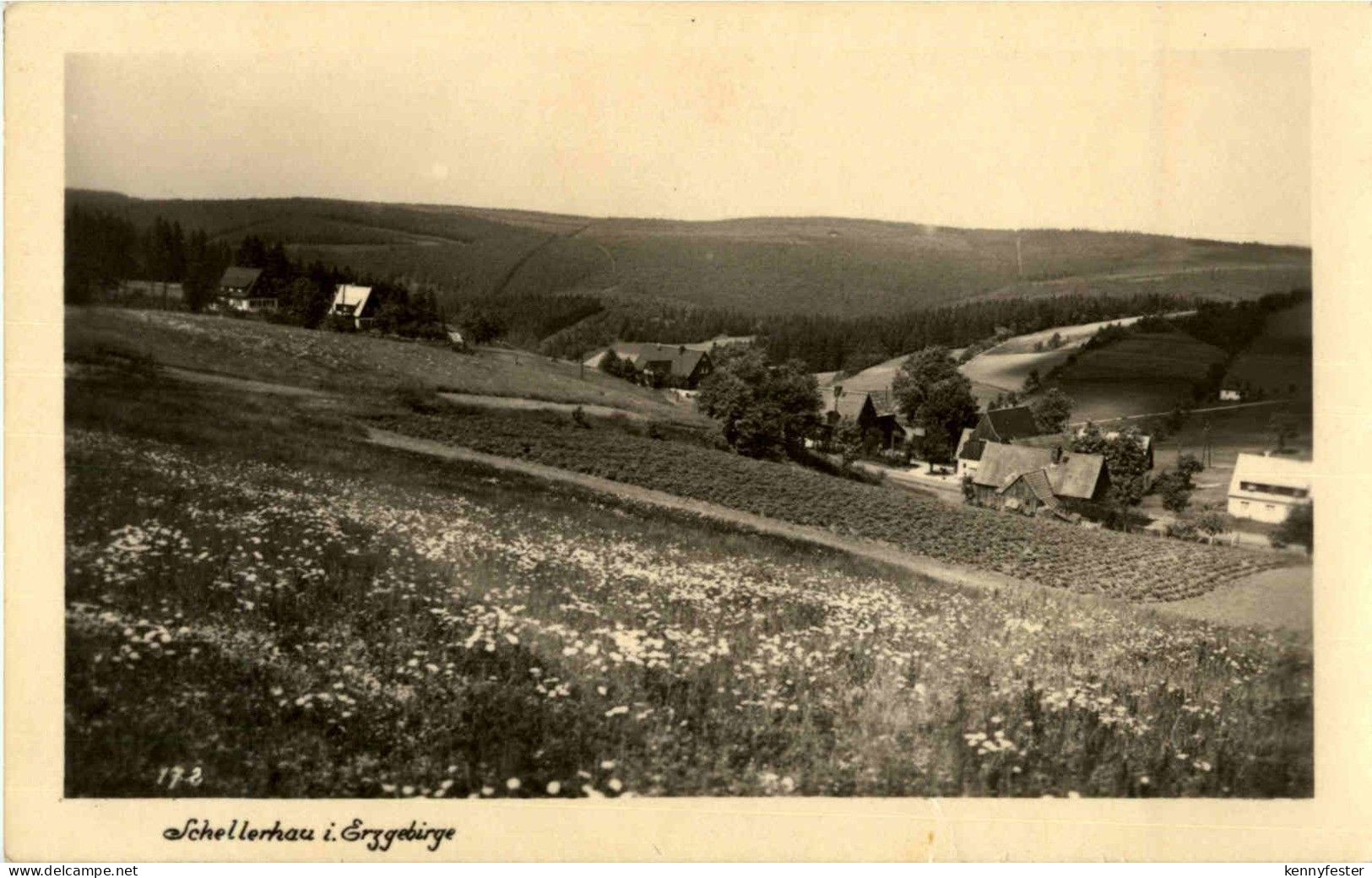 Schellerhau