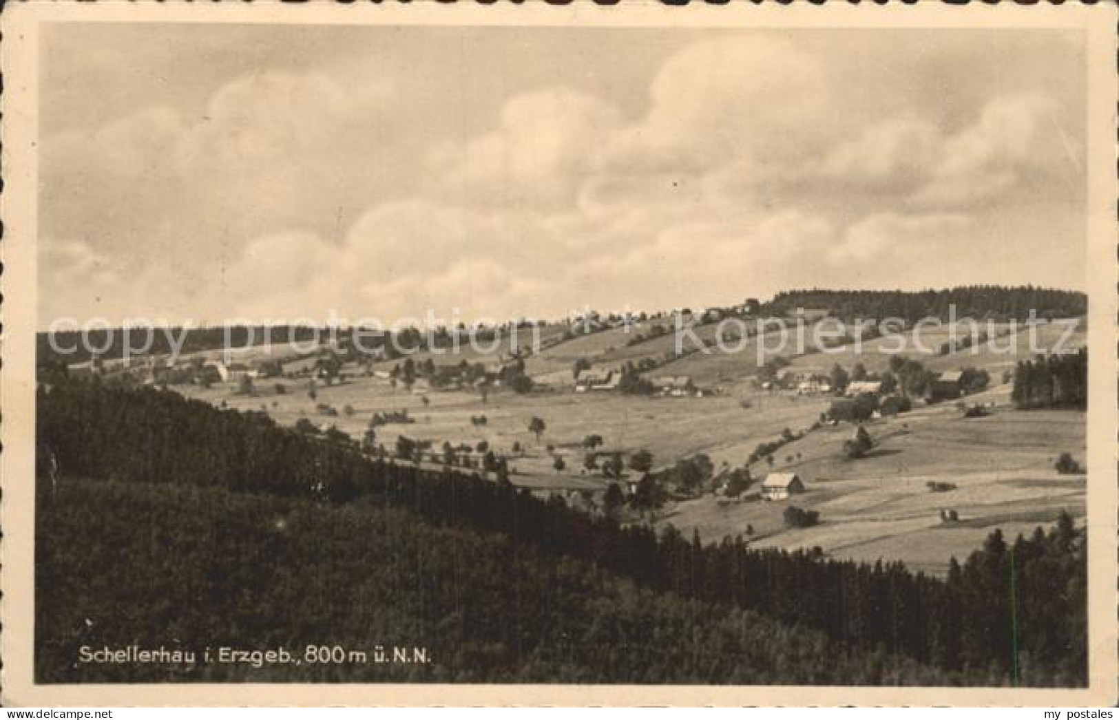 Schellerhau