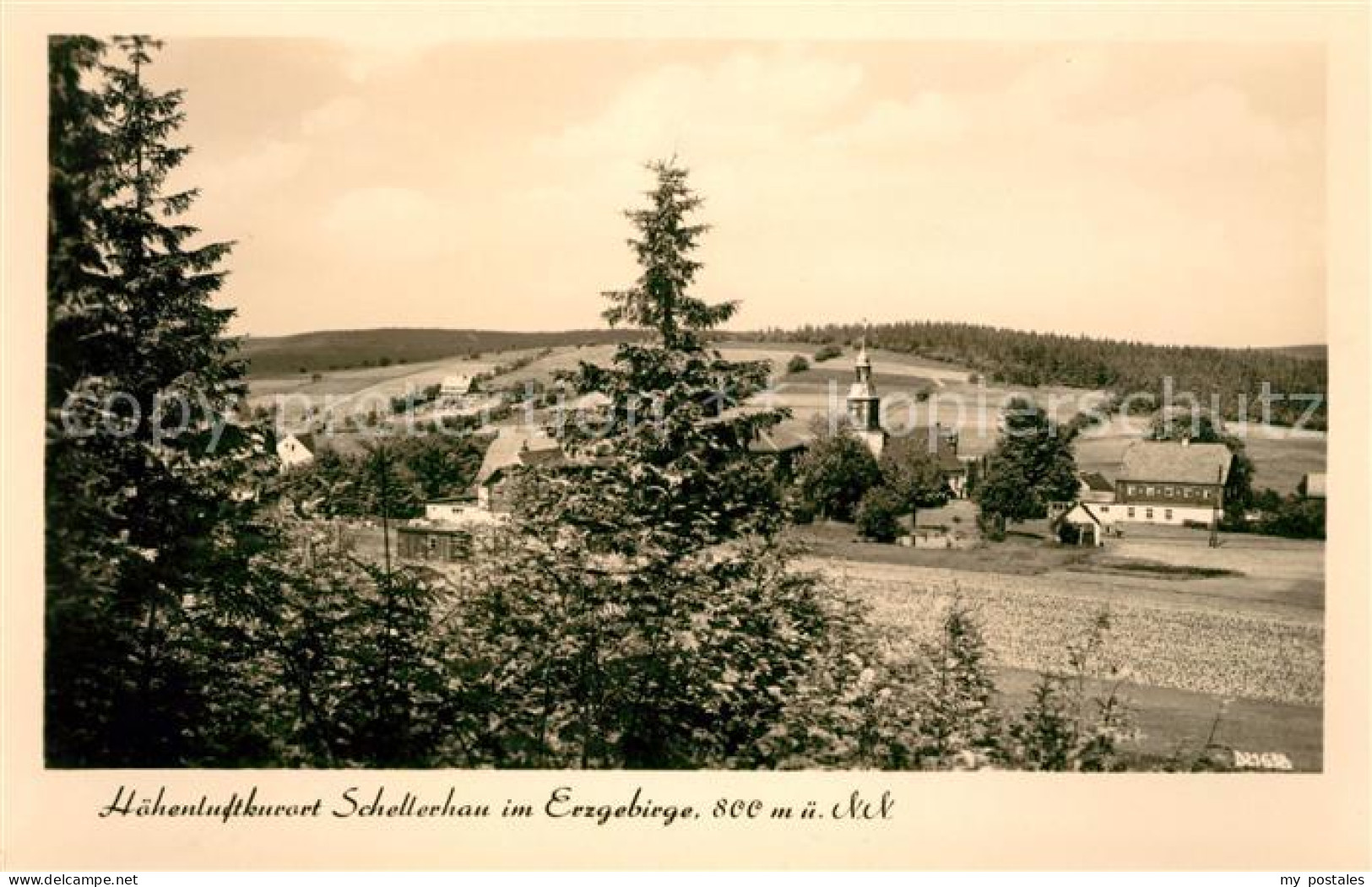 Schellerhau