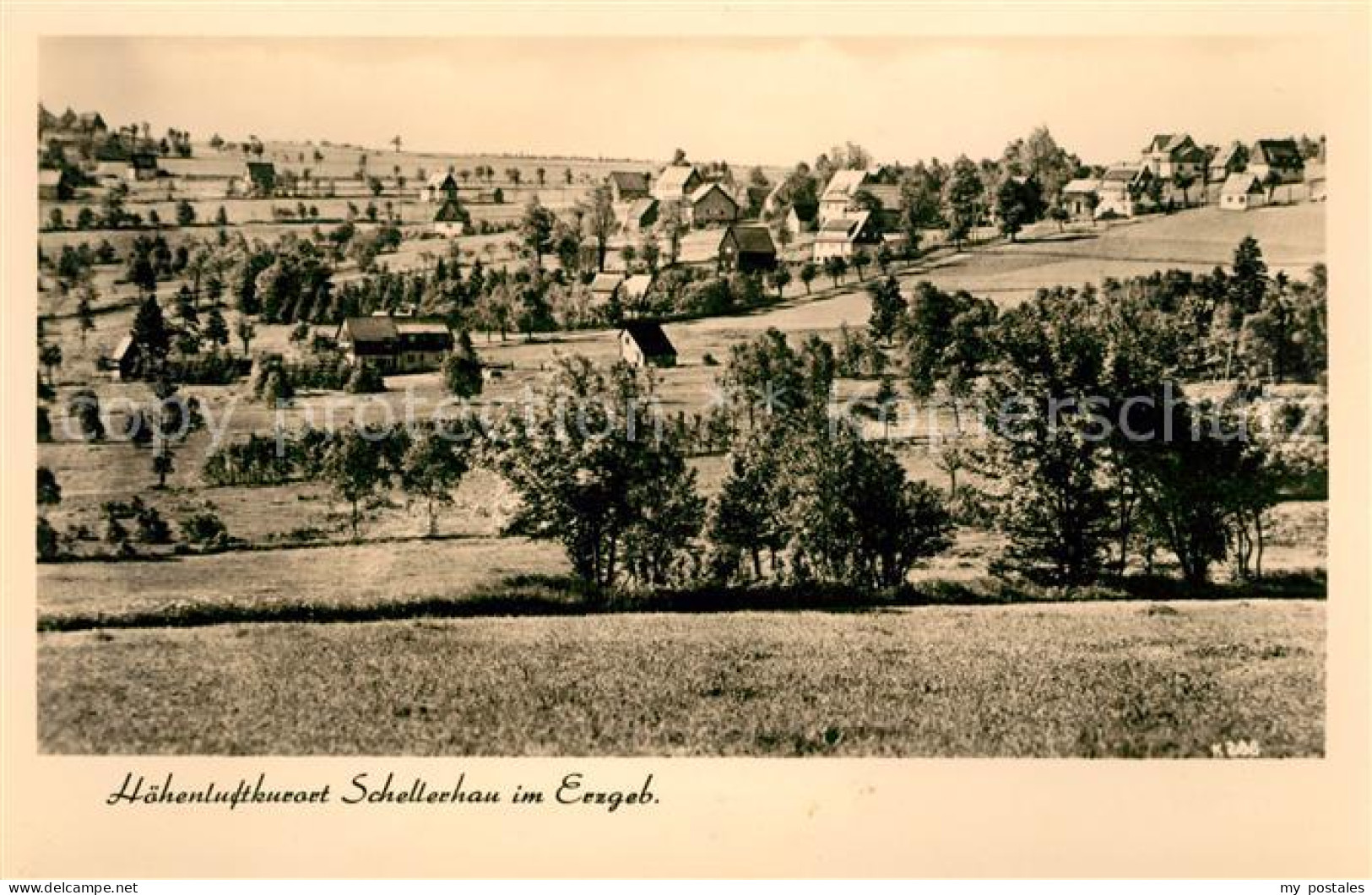 Schellerhau