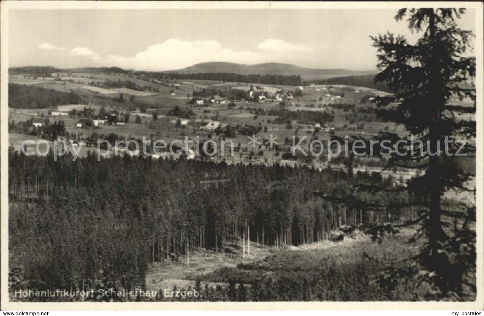 Schellerhau Gesamtansicht