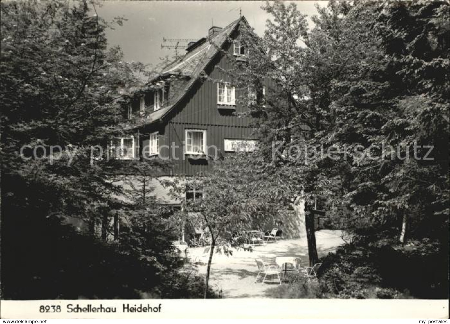Schellerhau Heidehof