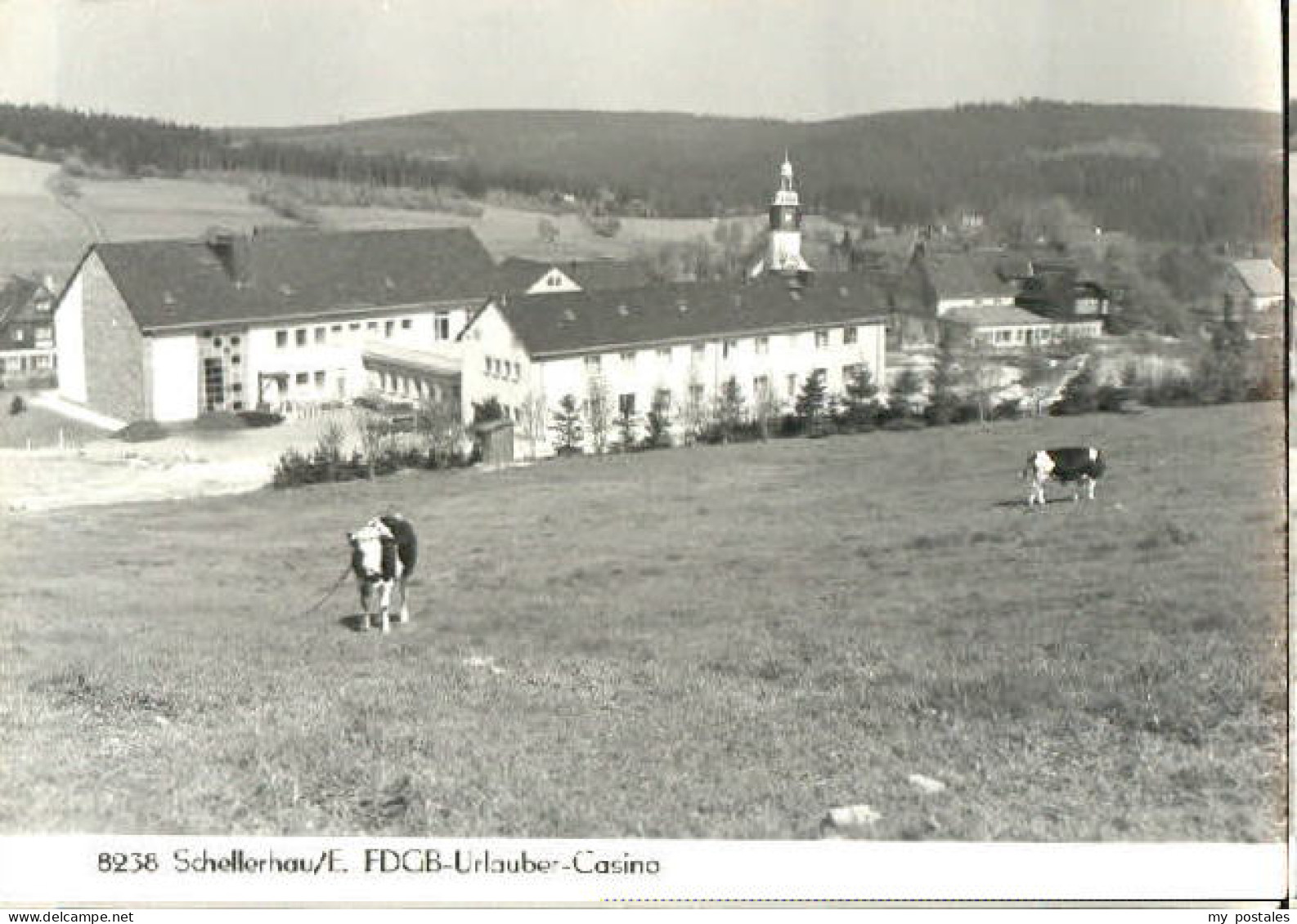 Schellerhau Kasino
