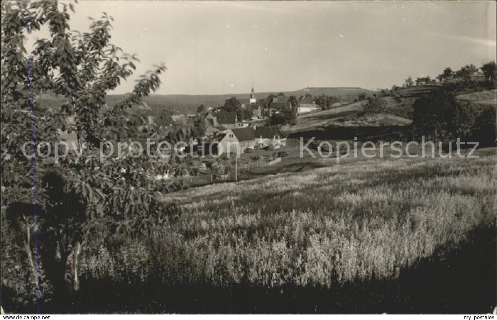 Schellerhau Panorama