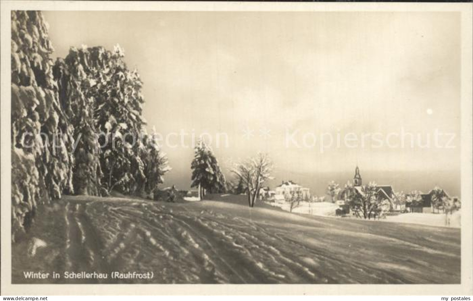 Schellerhau Rauhfrost