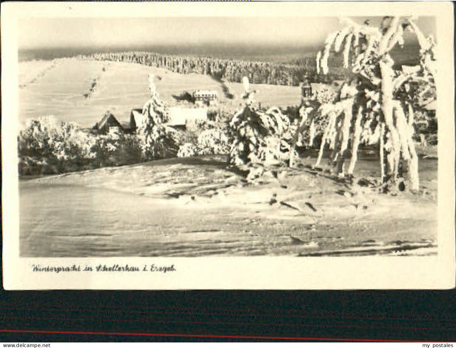 Schellerhau Schellerhau