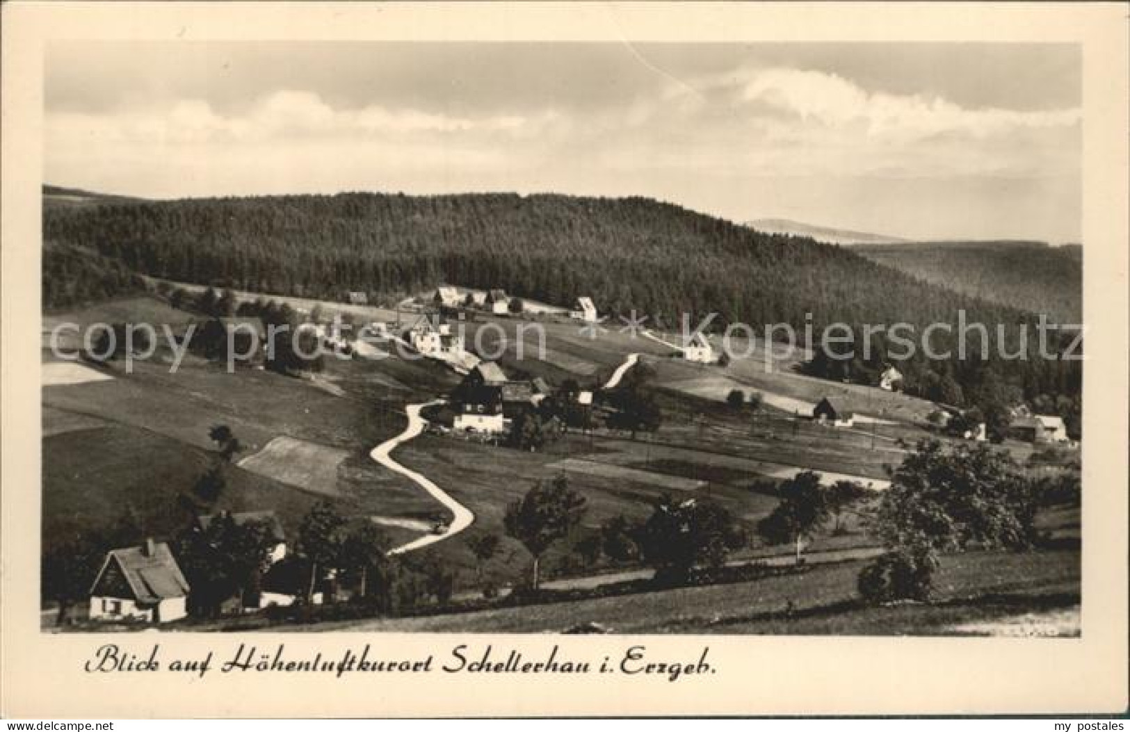 Schellerhau Stadtansicht