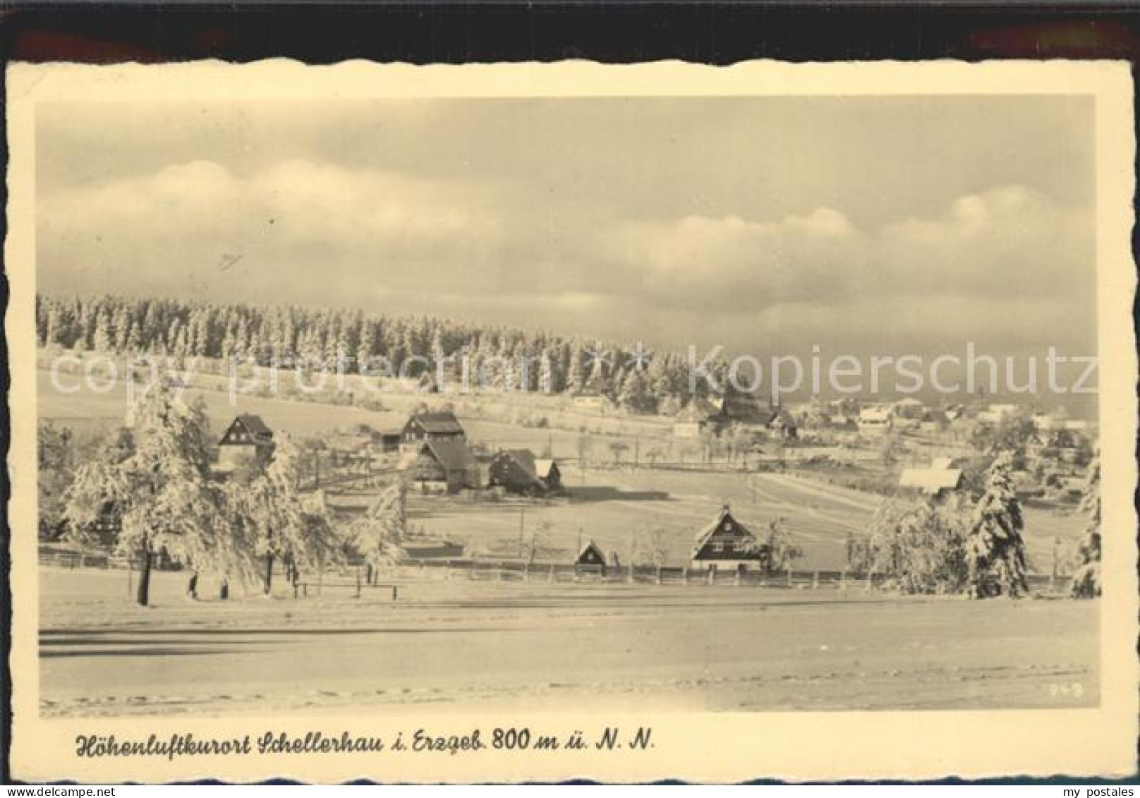 Schellerhau Teilansicht