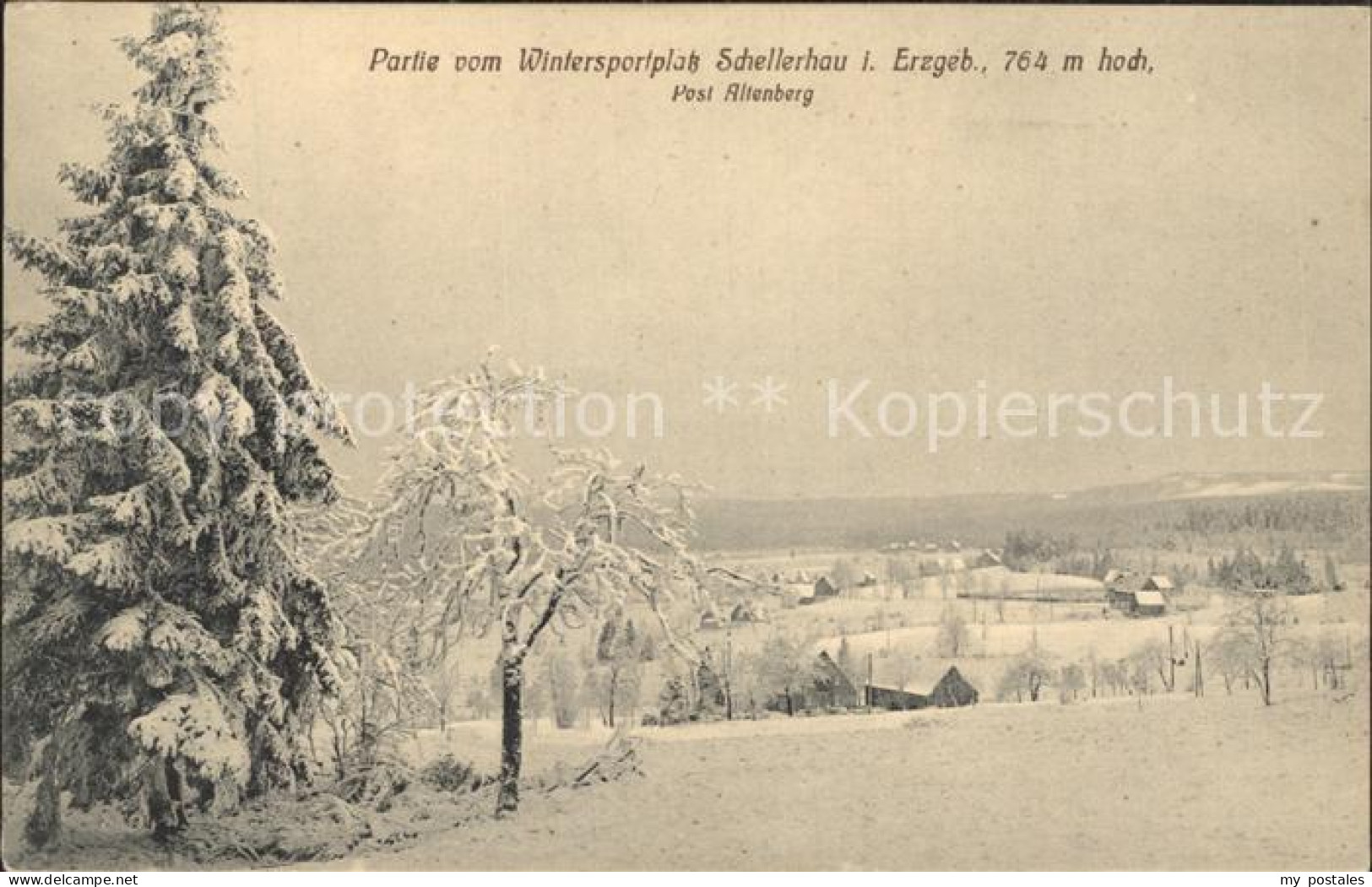 Schellerhau Winter
