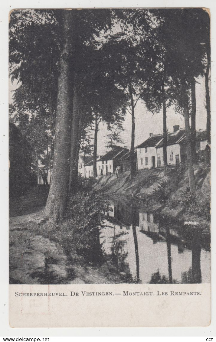 Scherpenheuvel Zichem  Montaigu   De Vestingen