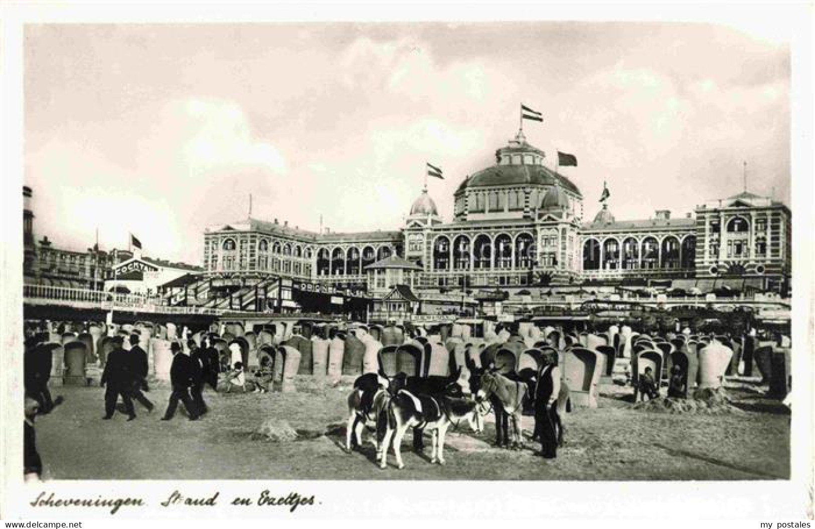 SCHEVENINGEN Den Haag Zuid-Holland NL Strand en Ezeltjes