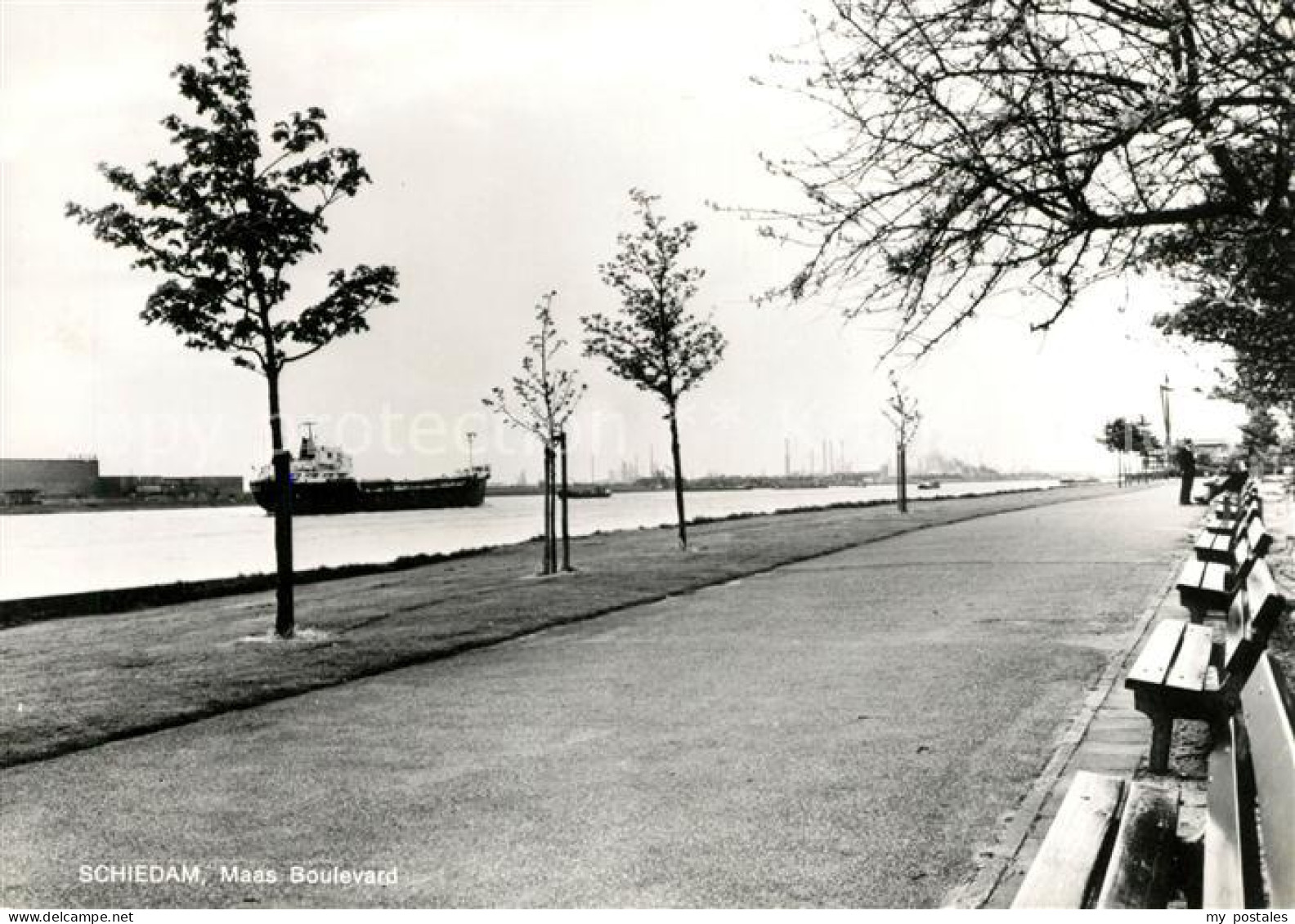 Schiedam Maas Boulevard