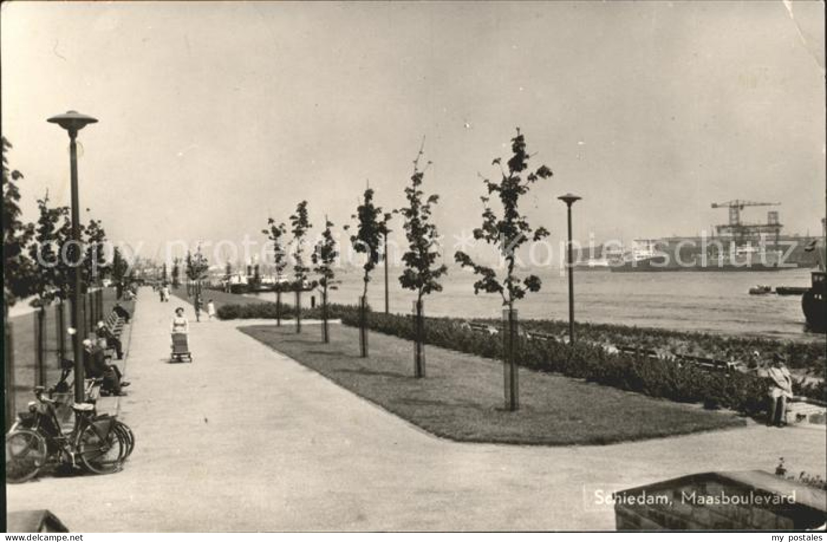 Schiedam Maasboulevard