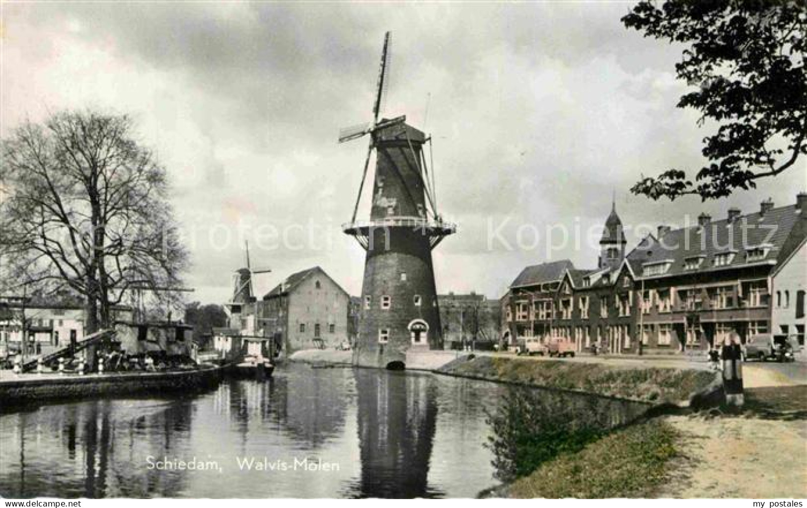 Schiedam Walvis-Molen