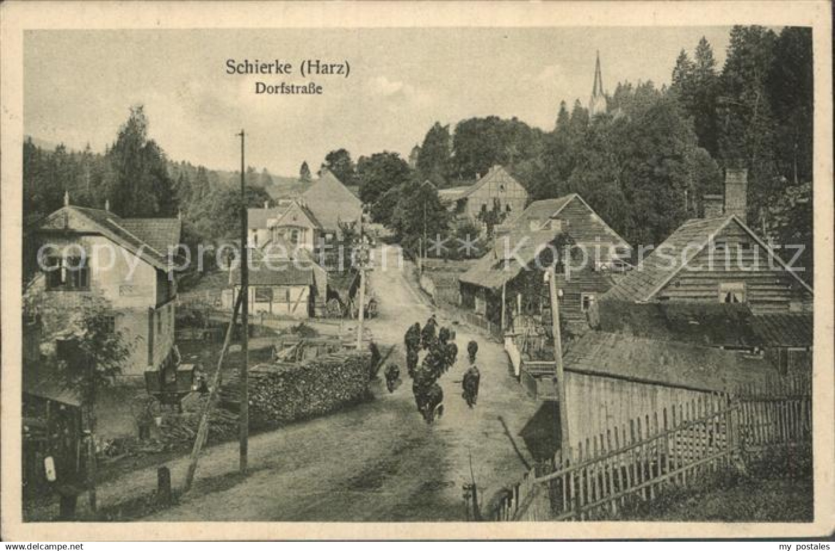 Schierke Harz Dorfstrasse