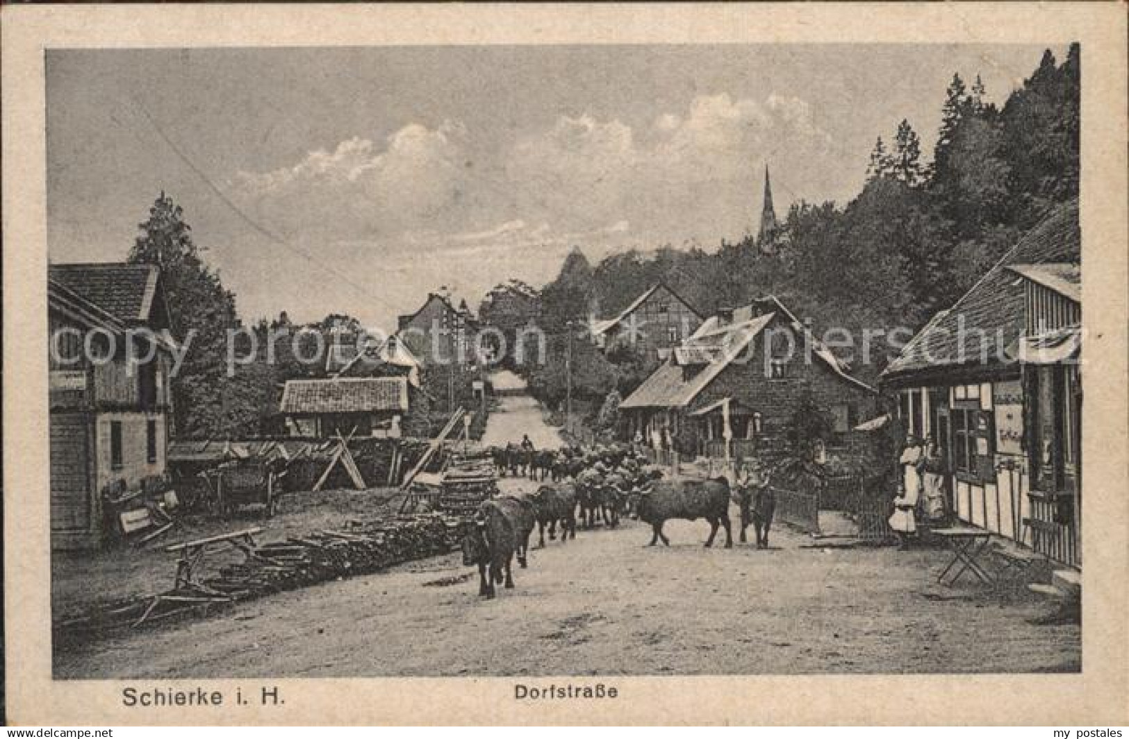 Schierke Harz Dorfstrasse