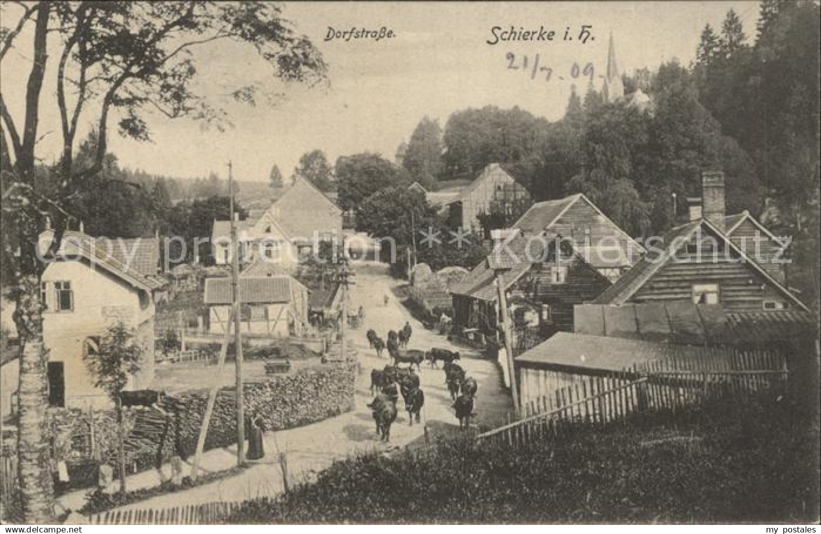 Schierke Harz Dorfstrasse