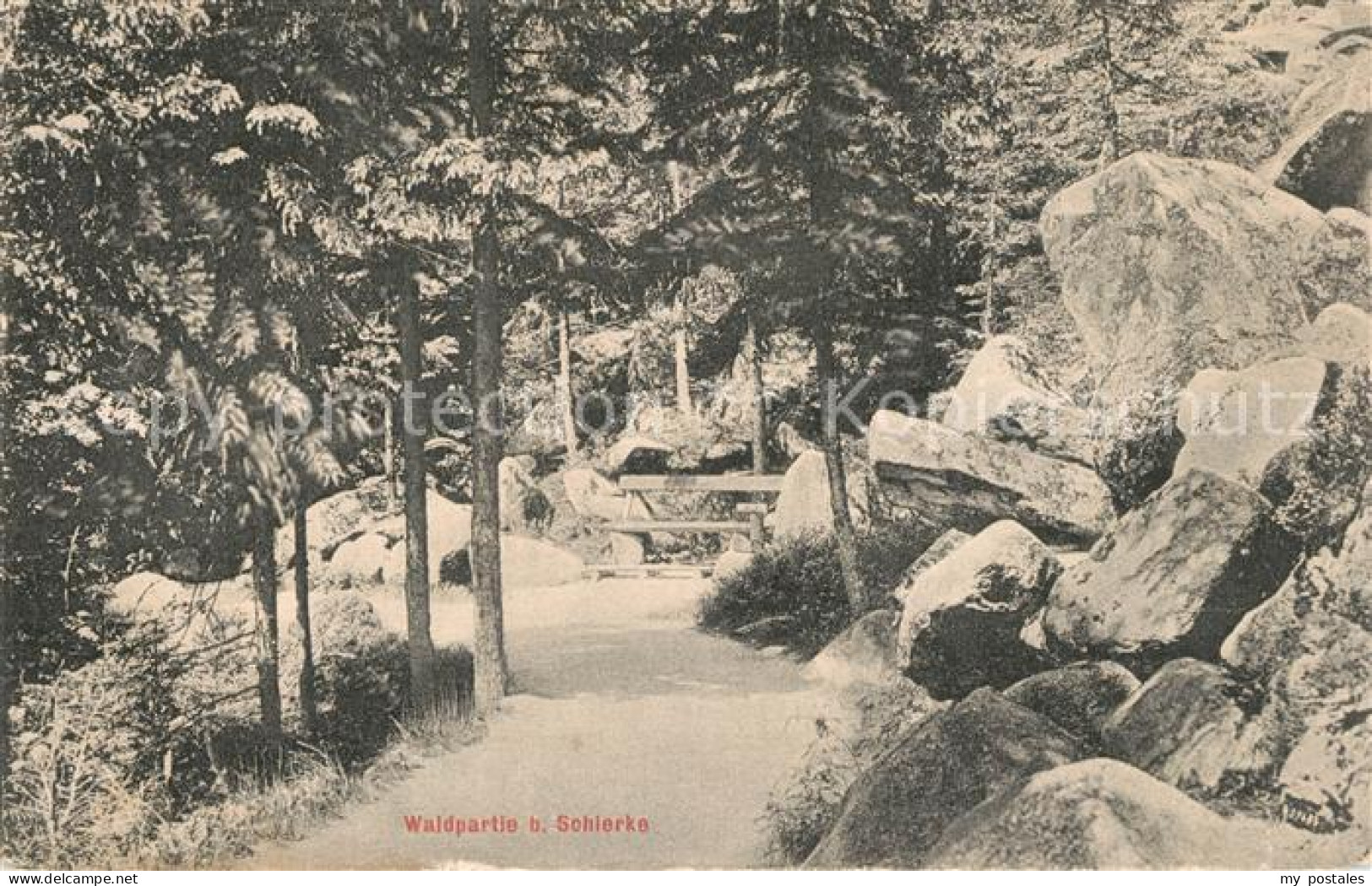 Schierke Harz Panorama