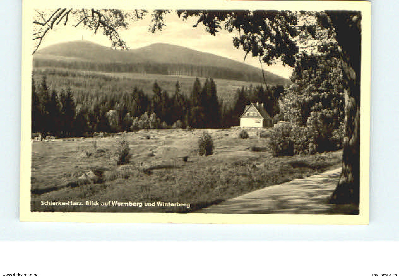 Schierke Harz Schierke