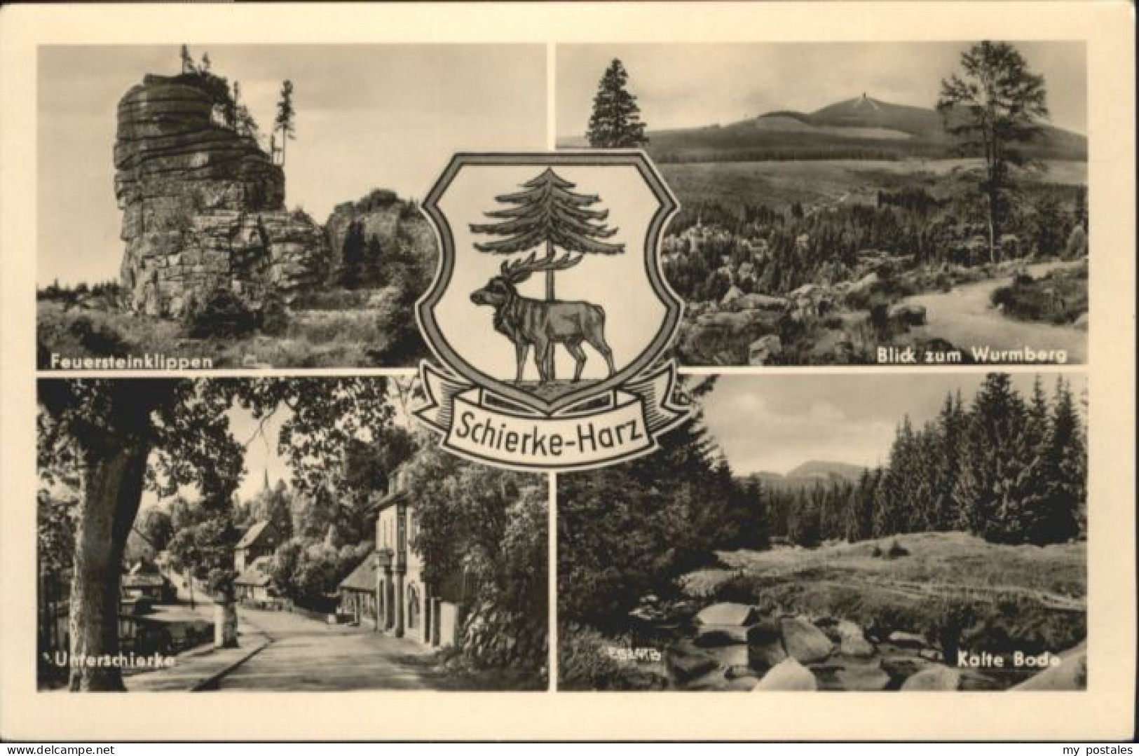 Schierke Harz Schierke Feuersteinklippen Unterschierke