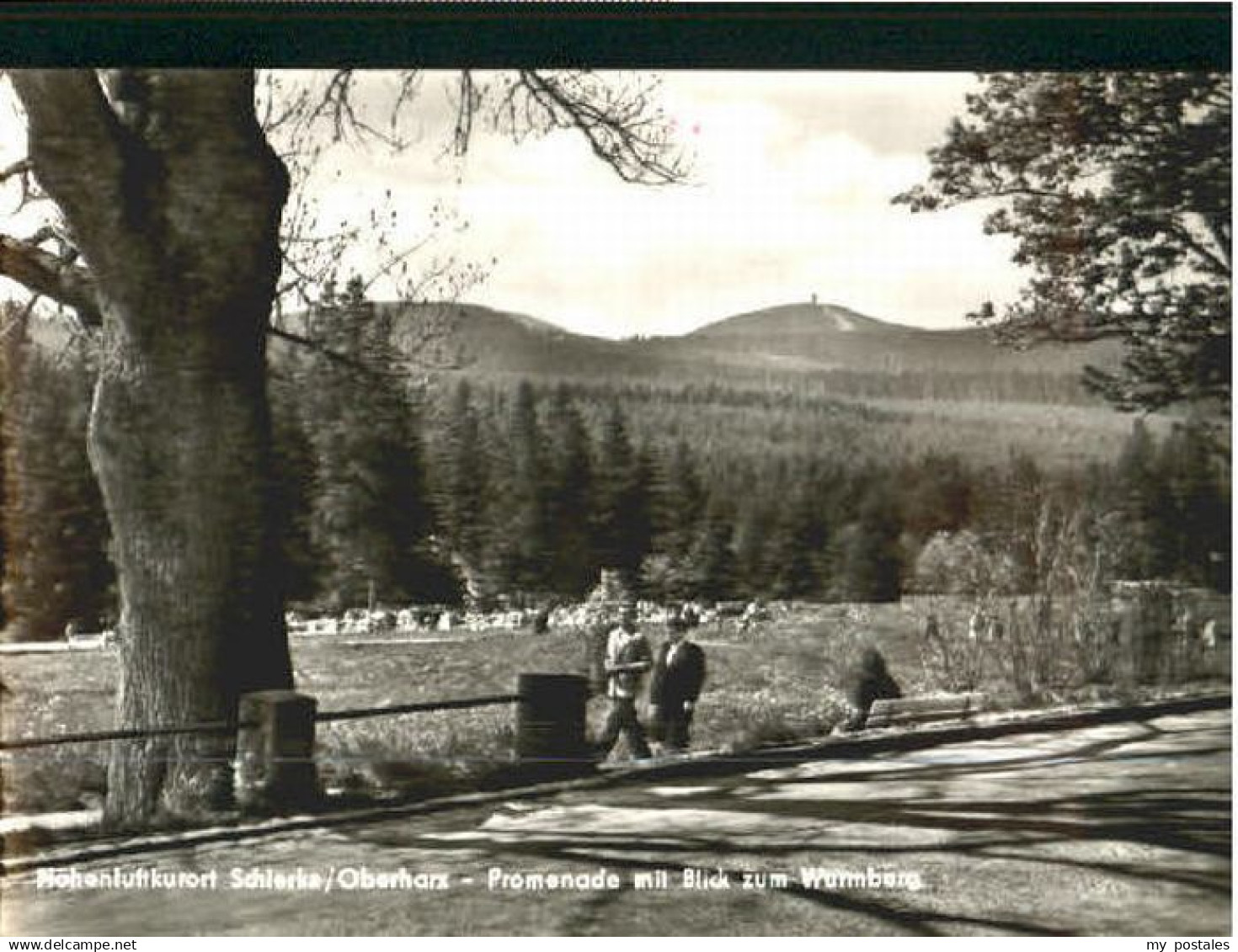 Schierke Harz Schierke Promenade Wurmberg x 1963