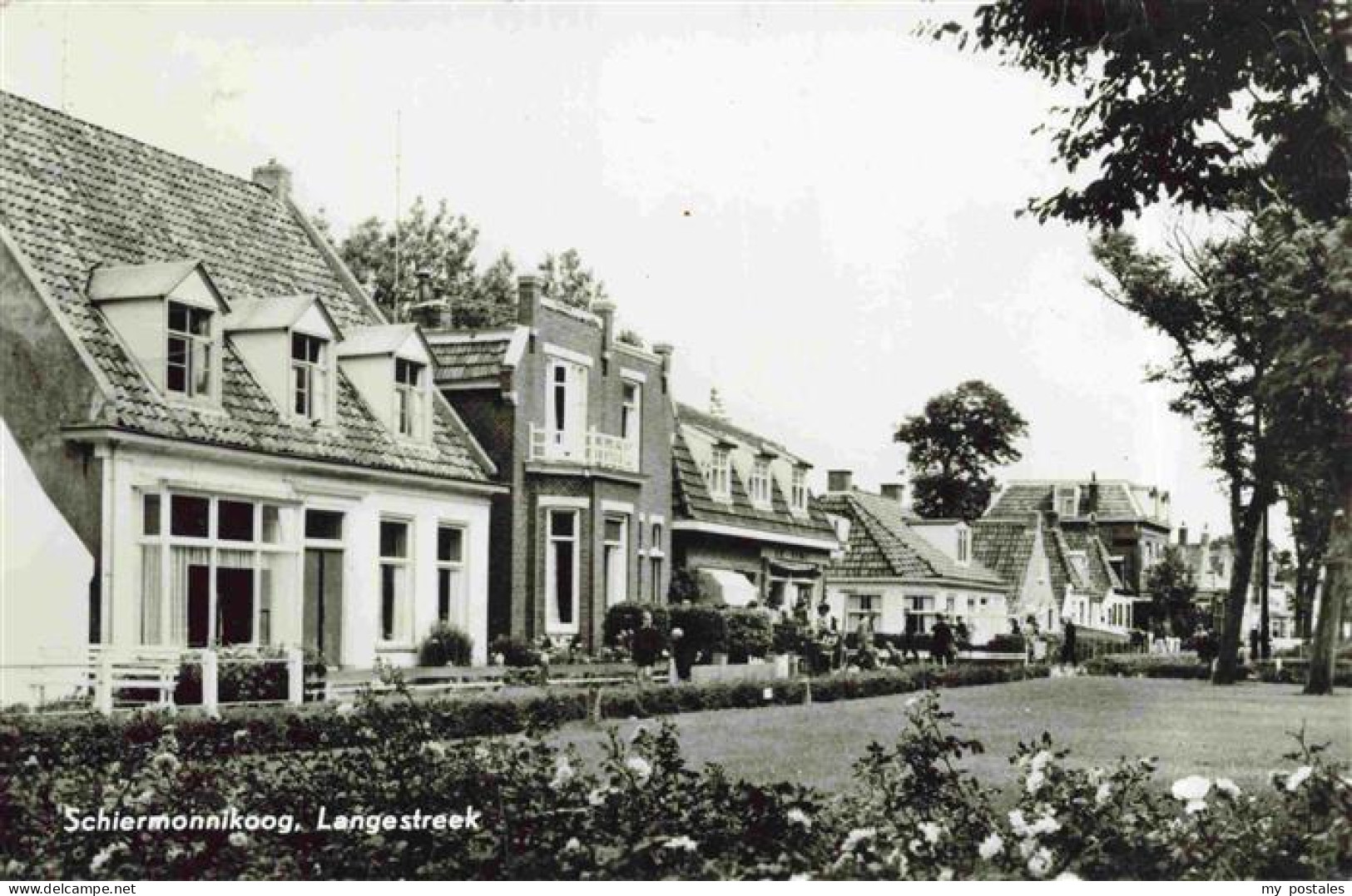Schiermonnikoog Friesland NL Langestreek
