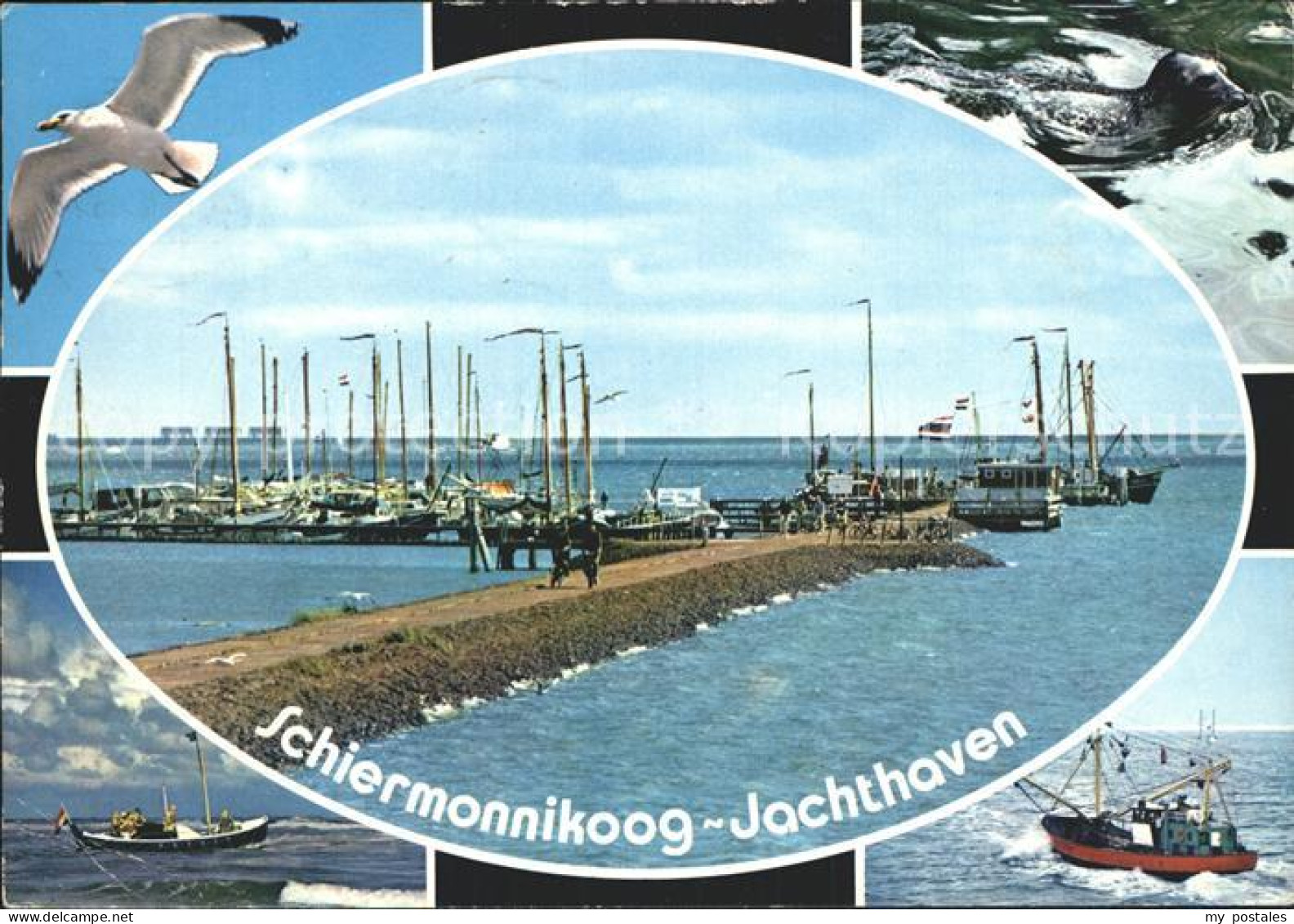 Schiermonnikoog Jachthaven