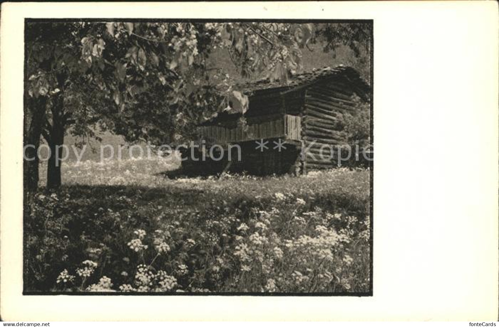Schiers Blockhaus