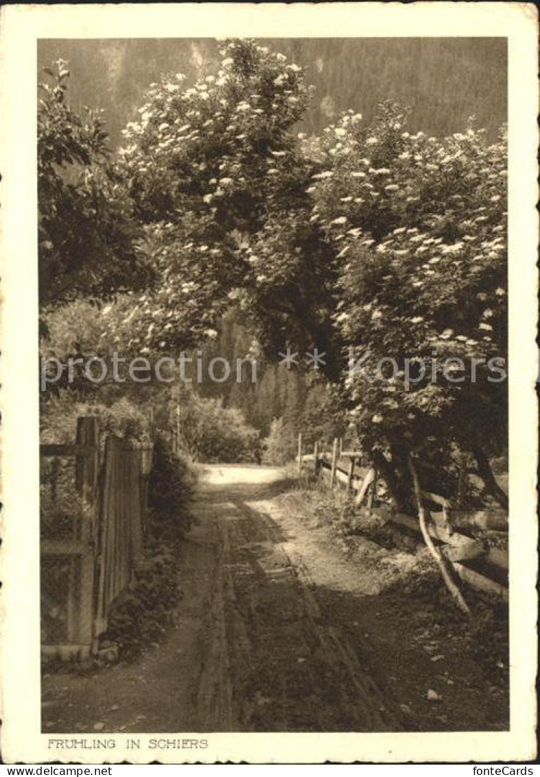 Schiers Fruehlingsmotiv