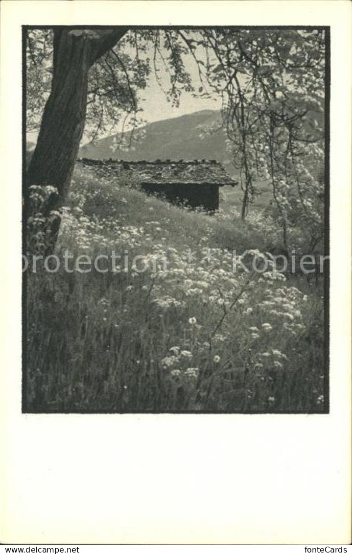 Schiers Huette