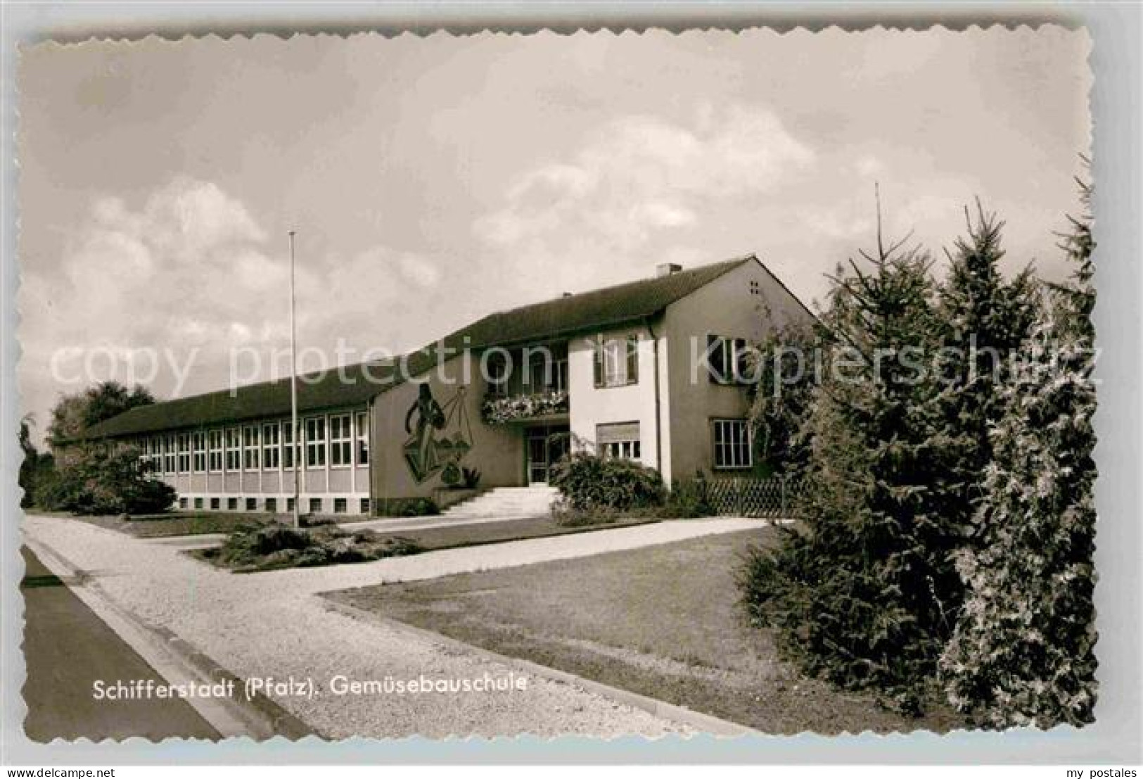 Schifferstadt Gemuesebauschule