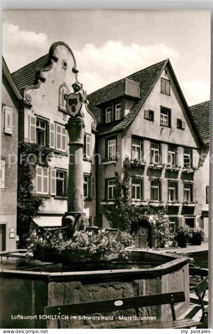 Schiltach Marktbrunnen