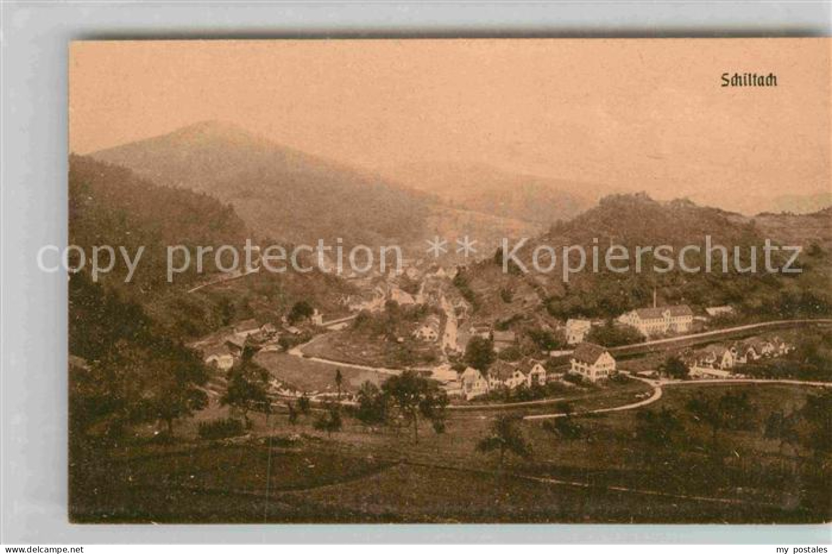 Schiltach Panorama
