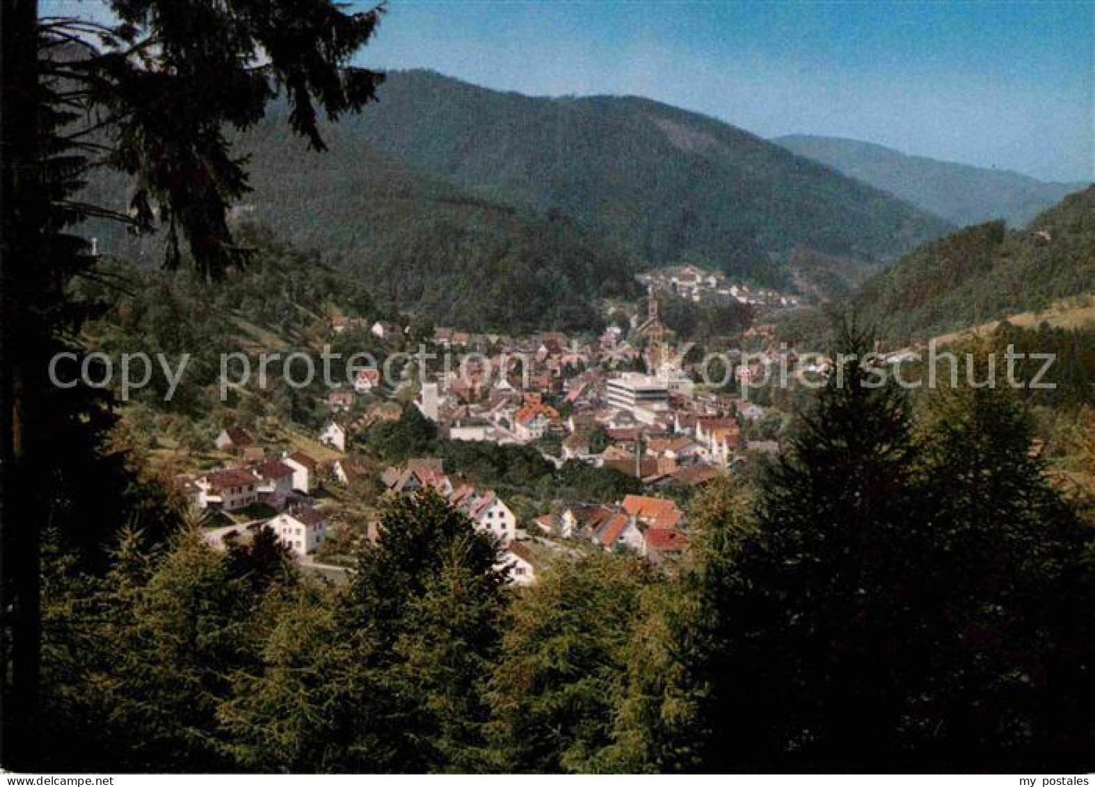 Schiltach Panorama