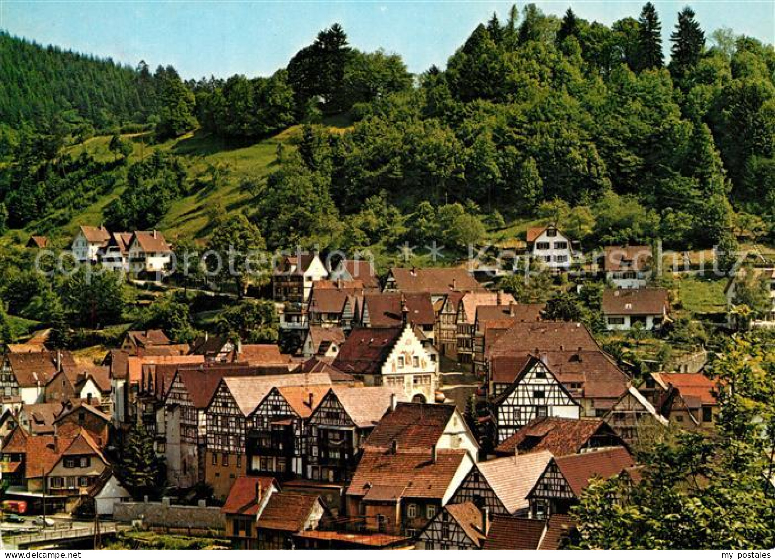 Schiltach Stadtpanorama