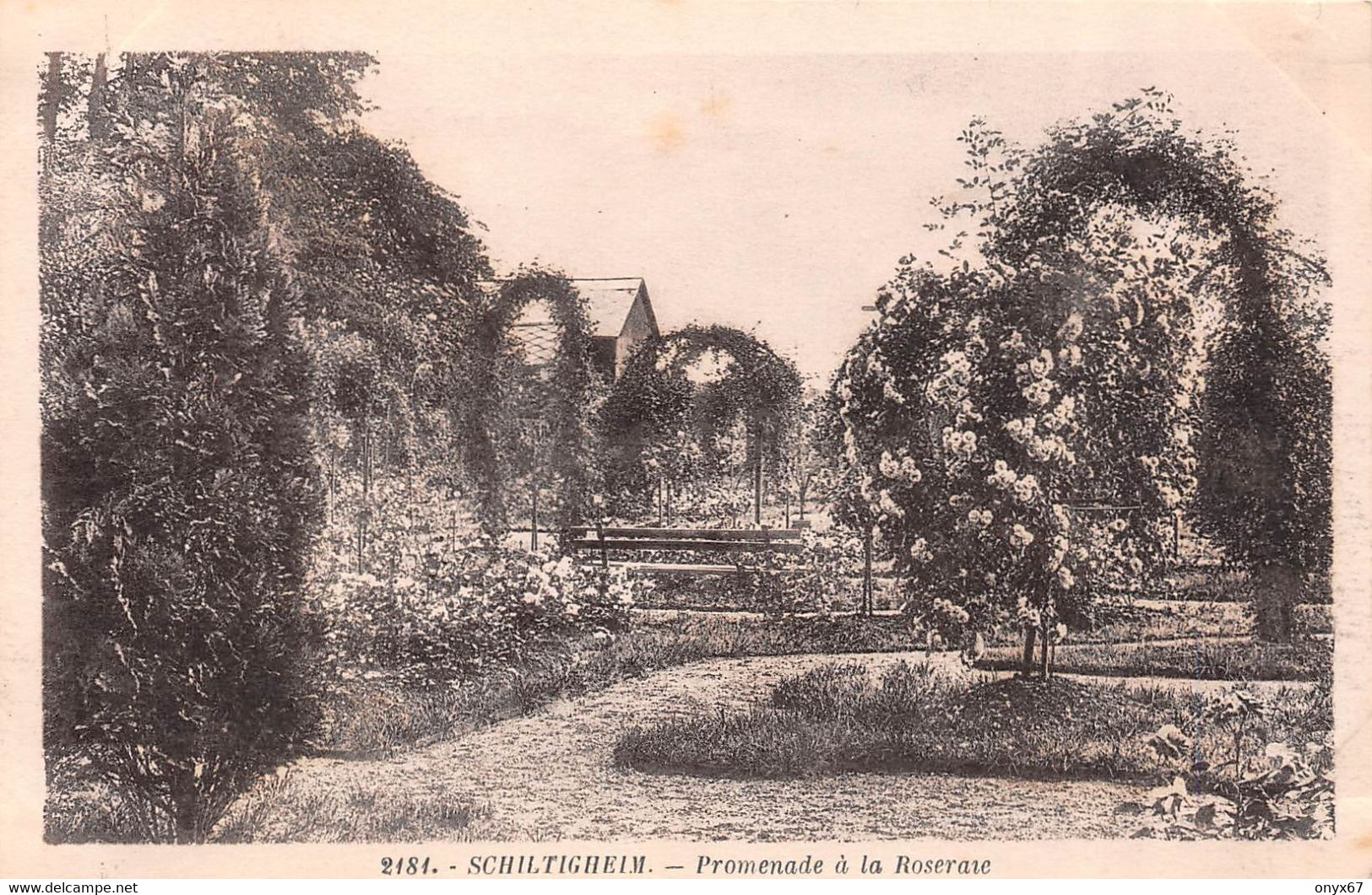 SCHILTIGHEIM-67-Bas-Rhin-Promenade à la roseraie - Parc  -