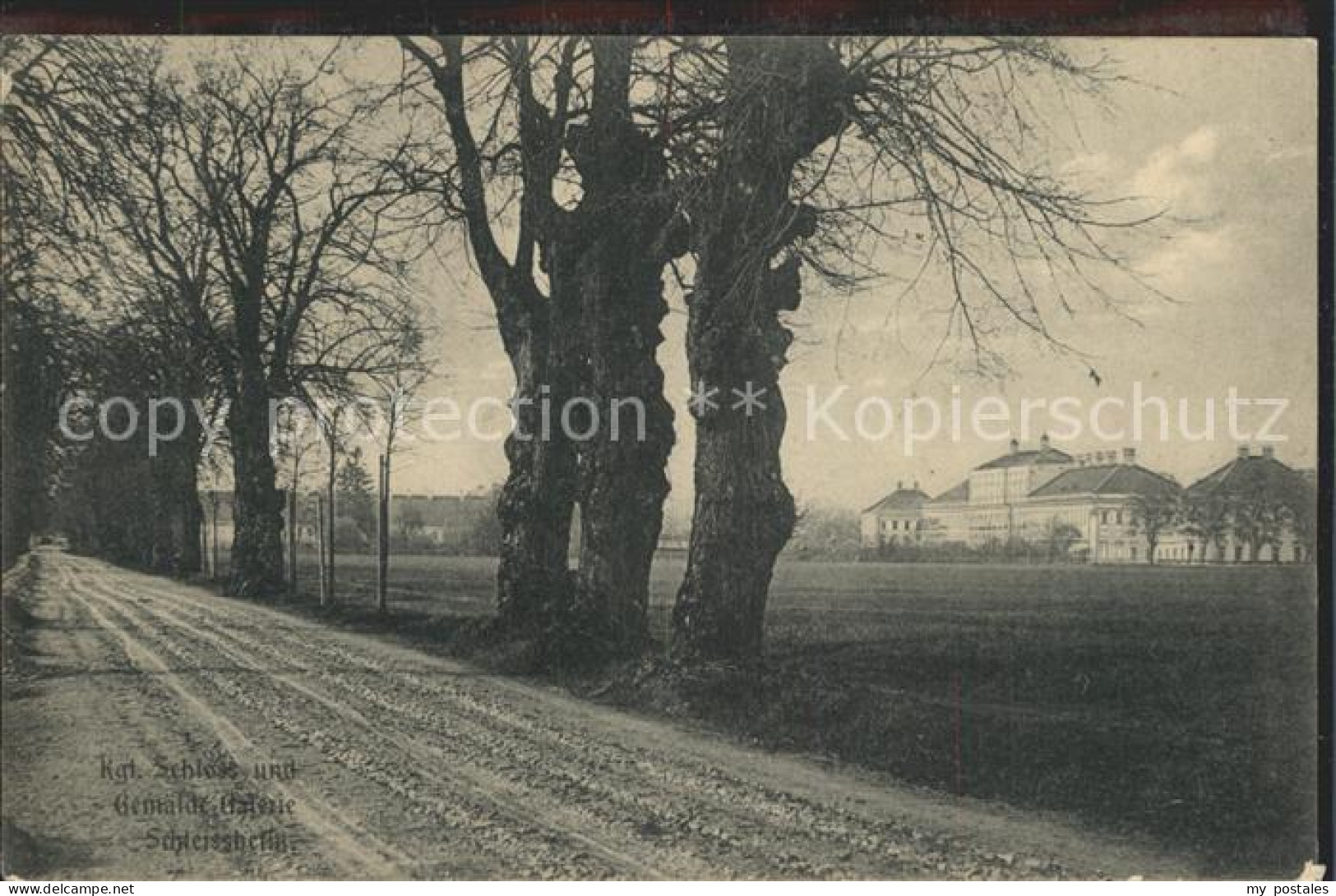 Schleissheim Oberschleissheim Koenigliches Schloss und Gemaeldegalerie Baumallee