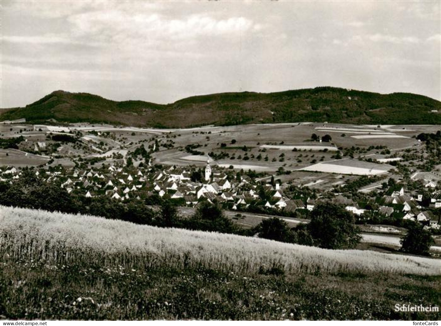 Schleitheim SH Panorama